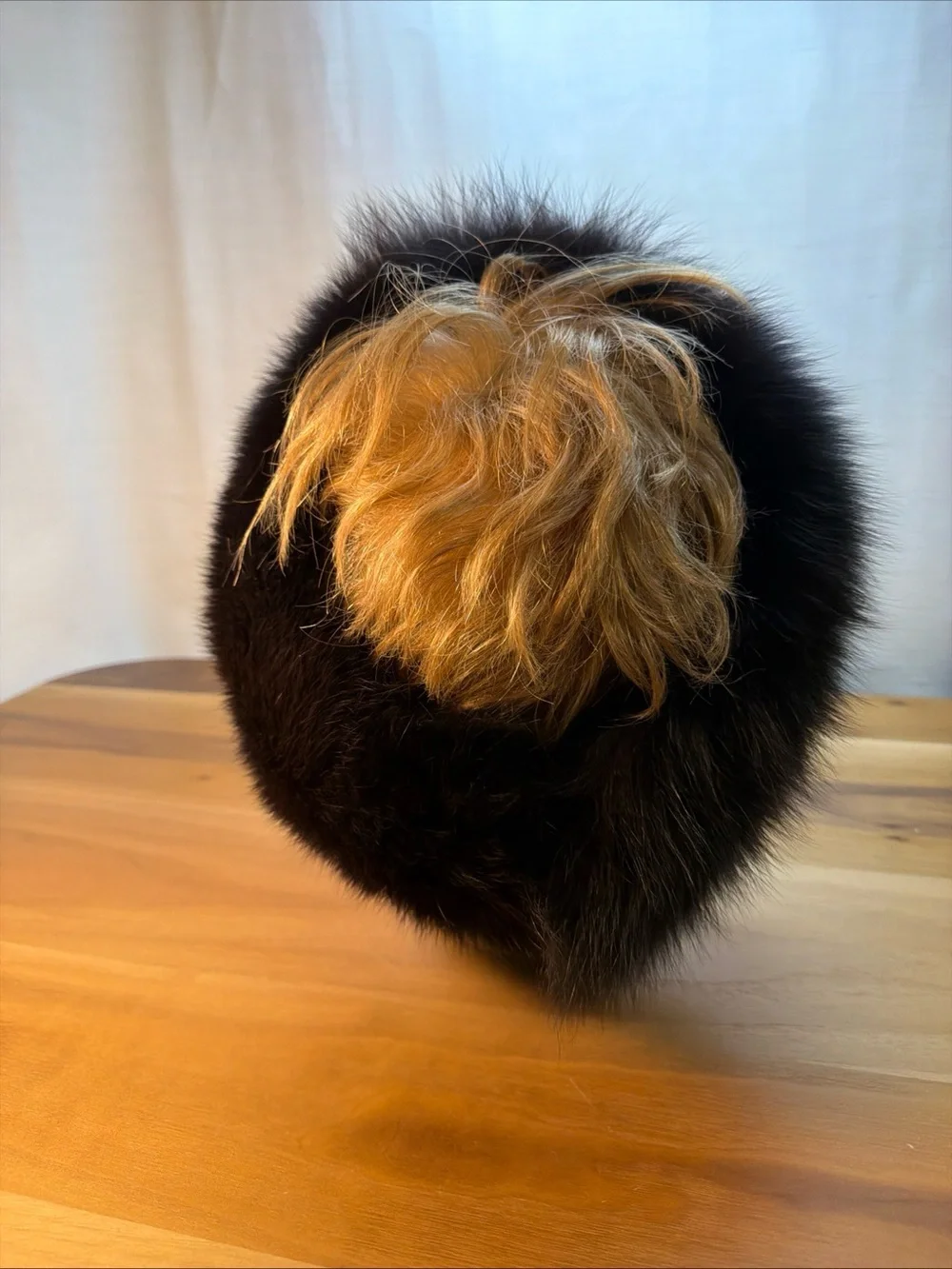 NEW Elegant Winter Women Headband Dark Brown Canadian Fox‎ Fur Sz Adjustable